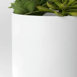 Succulent Arrangement In White Pot - Room Essentials™ 7 Succulent Arrangement In White Pot - Room Essentials™ -RSH Decor Store GUEST 00aec972 d4be 4f1a b05e ea90b105bc19