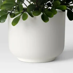 Herb Artificial Plant In White Pot - Room Essentials™ -RSH Decor Store GUEST 043f6992 31be 4448 9e3f 725db59349e3