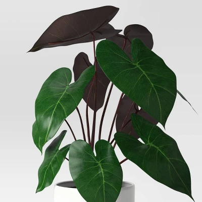 Dasheen Leaf Potted Artificial Plant - Room Essentials™ 4 Dasheen Leaf Potted Artificial Plant - Room Essentials™ - Image 2