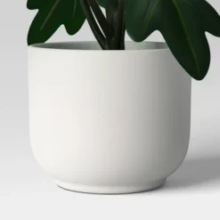 Core Plant Multipack In White Pot - Room Essentials™ -RSH Decor Store GUEST 23f0793d e482 4654 8d9f f43140e8c4d5