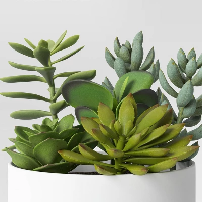 Succulent Arrangement In White Pot - Room Essentials™ 4 Succulent Arrangement In White Pot - Room Essentials™ - Image 2