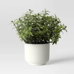 Herb Artificial Plant In White Pot - Room Essentials™ -RSH Decor Store GUEST 2fa8710c 5d5b 4f47 9af2 64f0071f7c52