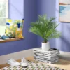 Palm Artificial Potted Plant - Room Essentials™ -RSH Decor Store GUEST 31743c46 3e55 4d4c 8cfb afbd23e15366
