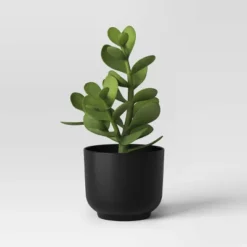 Succulent Artificial In Black Pot - Room Essentials™ -RSH Decor Store GUEST 39c4aa68 47f1 486e 8e41 5902428fe6c1