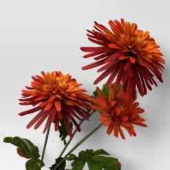 Orange Daisy Stem - Room Essentials™ 5 Orange Daisy Stem - Room Essentials™ -RSH Decor Store GUEST 45c3043a 354b 4382 ad25 27c9fc4e2502