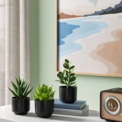 Succulent Artificial In Black Pot - Room Essentials™