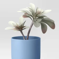 3pk 8.86" Succulent Artificial Plants Multicolor - Room Essentials™ -RSH Decor Store GUEST 713a3c74 4a66 4731 bccf 7c13c81b2f01