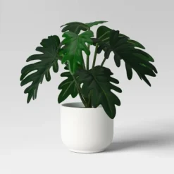 Core Plant Multipack In White Pot - Room Essentials™ -RSH Decor Store GUEST 87daa1fd 2e72 41a8 be61 554c95f53ec4