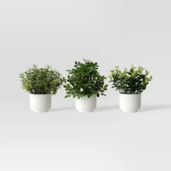 Herb Artificial Plant In White Pot - Room Essentials™ -RSH Decor Store GUEST 8f8cad37 de5b 41b2 926d 65320c060021