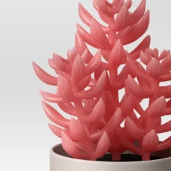 3pk 8.86" Succulent Artificial Plants Multicolor - Room Essentials™ -RSH Decor Store GUEST cfa72693 81b2 4c35 87ab 78b388b04202