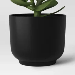Succulent Artificial In Black Pot - Room Essentials™ -RSH Decor Store GUEST e1e9854e 78dc 4f17 bc3a 8dcfcf1bacab