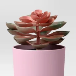 3pk 9.06" Succulent Artificial Plants Pink - Room Essentials™ -RSH Decor Store GUEST ea051b3d fab8 422e 9832 f1b4ec087c33
