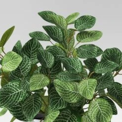 Mosaic Artificial Leaf In White Pot - Room Essentials™ -RSH Decor Store GUEST eff95394 7778 4a1f b32c 7a27066f6eb5